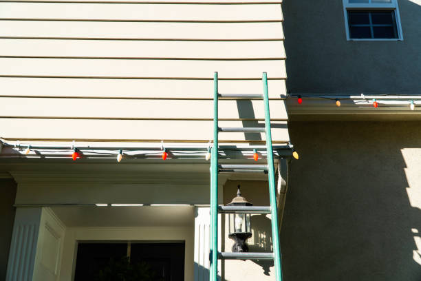 Best Siding Painting and Refinishing  in Portland, MI