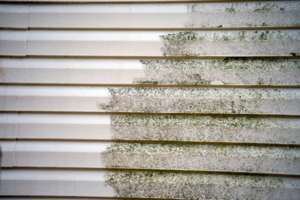 Best Residential Vinyl Siding Installation  in Portland, MI
